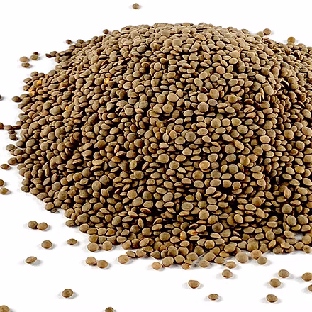 Green lentils