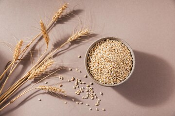 Sesame